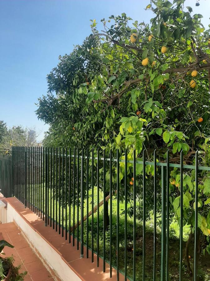 Villa Vesuvius Neapol Zewnętrze zdjęcie